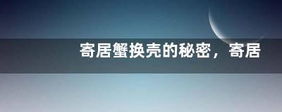 寄居蟹换壳的秘密，寄居蟹的换壳既是斗争也是交易