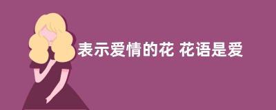 表示爱情的花 花语是爱情的花