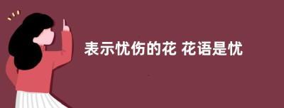 表示忧伤的花 花语是忧伤的花