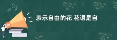 表示自由的花 花语是自由的花