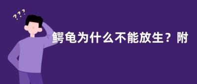 鳄龟为什么不能放生附鳄鱼的食物和价值