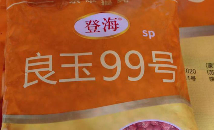 良玉99玉米种批发价格多少钱一袋？