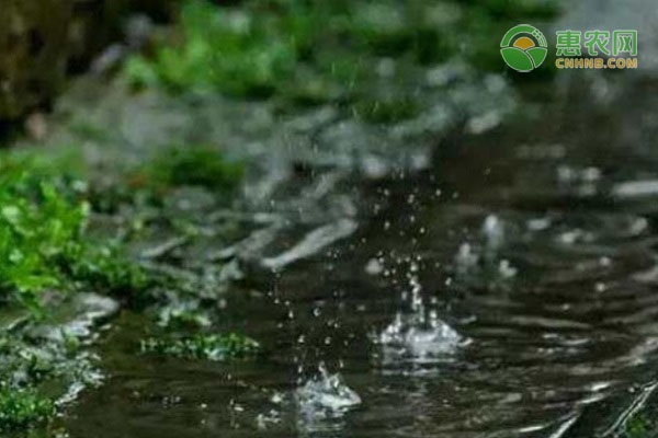 雨水节气有什么习俗？雨水节气下雨好不好？