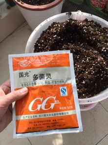 1克多菌灵拌几斤土-1克多菌灵拌几斤土豆